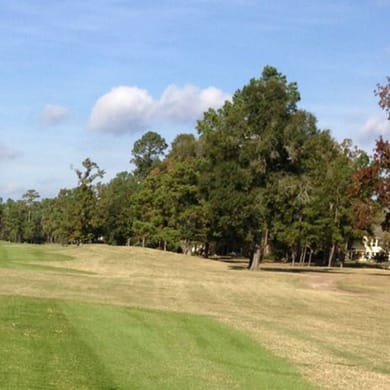 The Golf Preserve of Atascocita