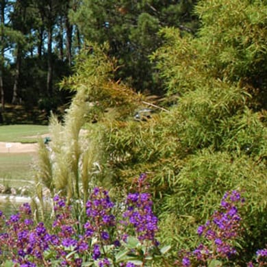 Club del Lago Golf (Circuito B)