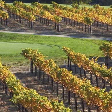 The Course at Wente Vineyards