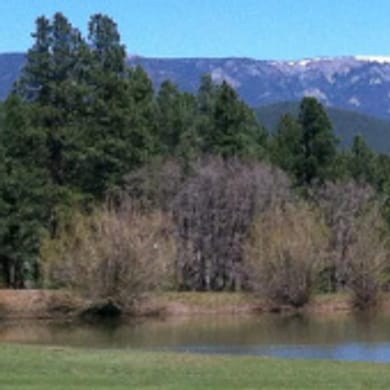 Pendaries VCA Golf Resort