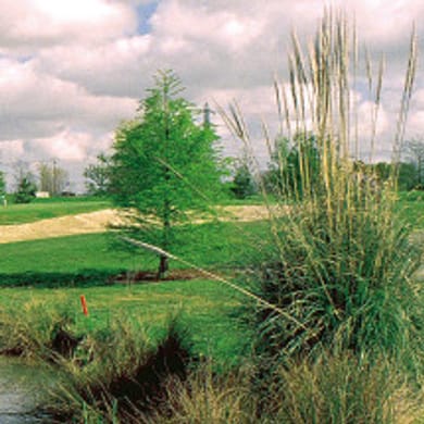 Golf Bluegreen Bordeaux-Lac (Les Etangs)