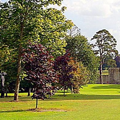 Adare Manor Golf Club