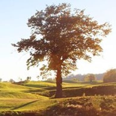 Golf & Hotel Henri-Chapelle (Le Charlemagne)