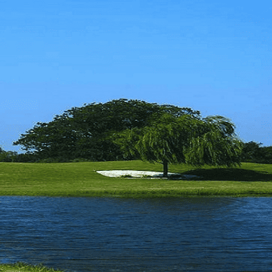 Pecan Lakes Golf Club