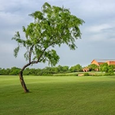 Max A. Mandel Municipal Golf