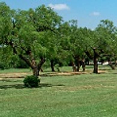Maxwell Municipal Golf Course