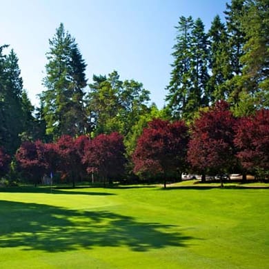 Jackson Park Golf Course (Regulation)