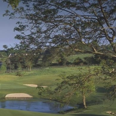 Druids Glen Resort (Druids Heath)