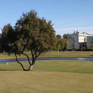 Escuela de Golf La Cartuja