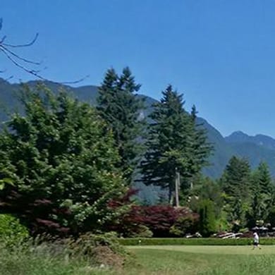 Swaneset Bay Resort & Country Club (Links)