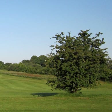 Golf Club an der Schlei