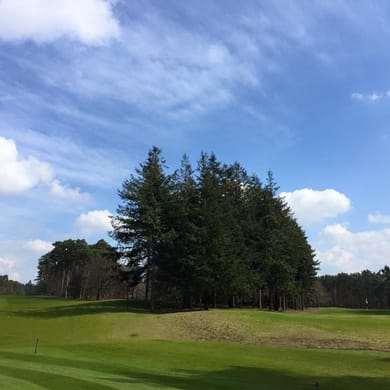 Golfclub Almeerderhout
