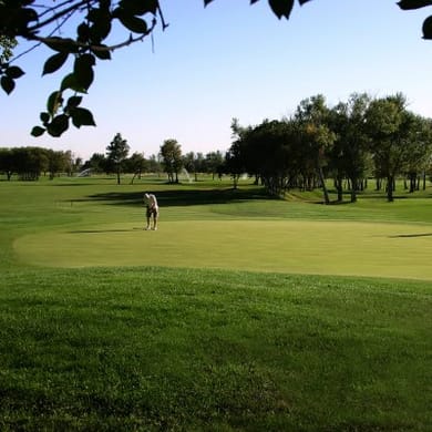 Fox Hollow Golf Club