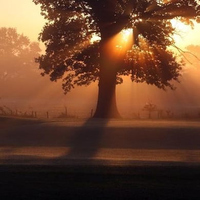 The Belfry Golf (PGA National)