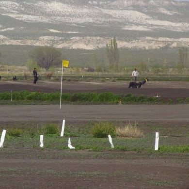 Las Bardas Campo de Golf