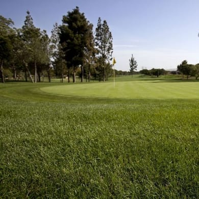 Real Club Pineda de Sevilla