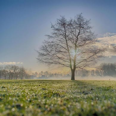 Golfbaan De Hooge Rotterdamsche
