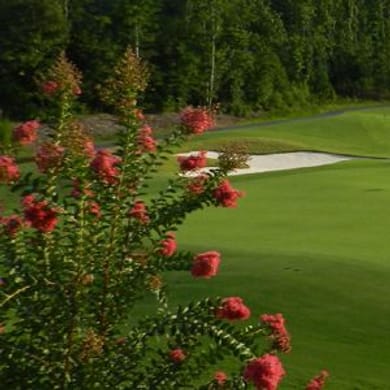 Carolina Lakes Golf Club