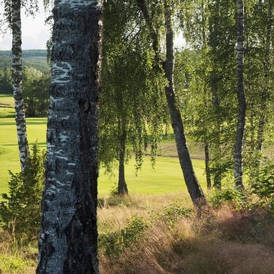 Falun-Borlänge Golfklubb
