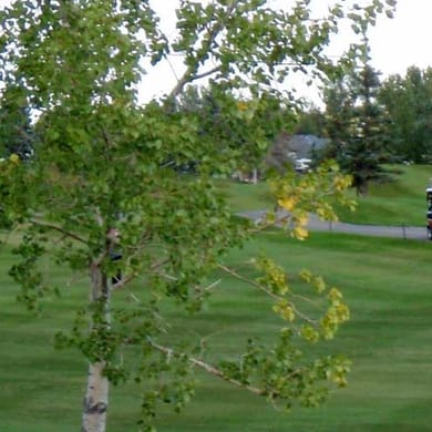 Lakeside Golf Club