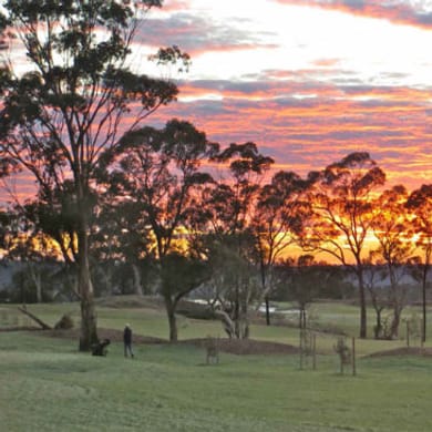 North Turramurra Golf Course