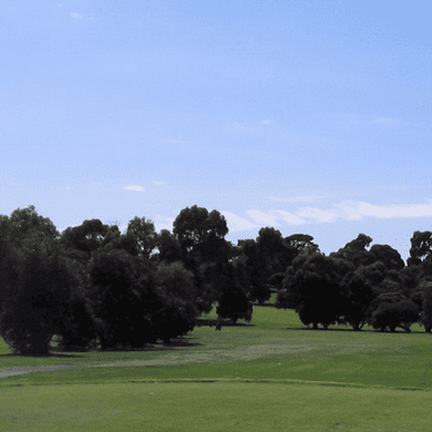 Ringwood Golf Club