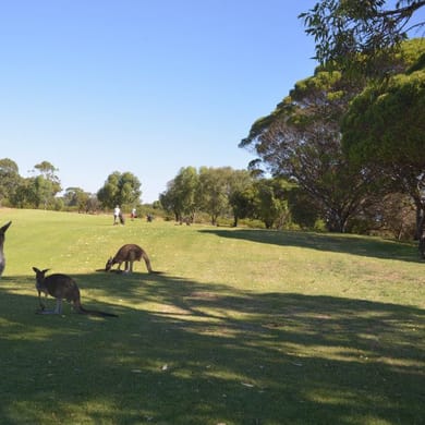 Rockingham Golf Club