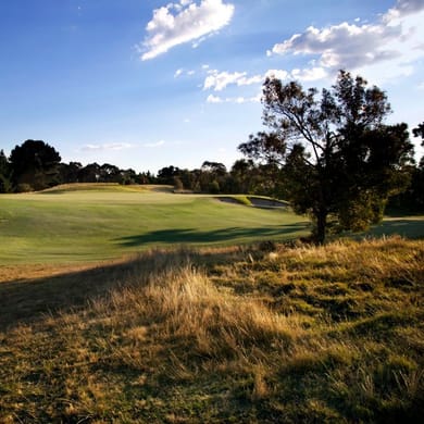 Curlewis Golf Club