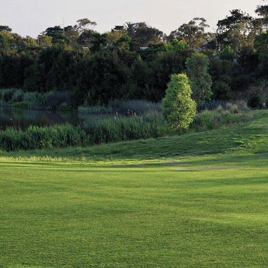 Sandhurst Club (Champions)