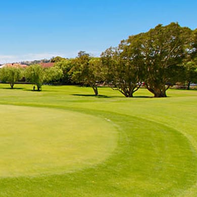 Woollahra Golf Club