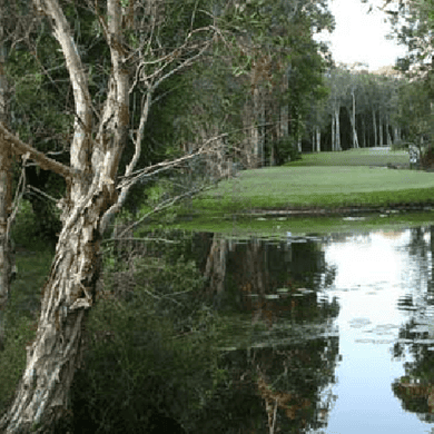Mount Coolum Golf Club