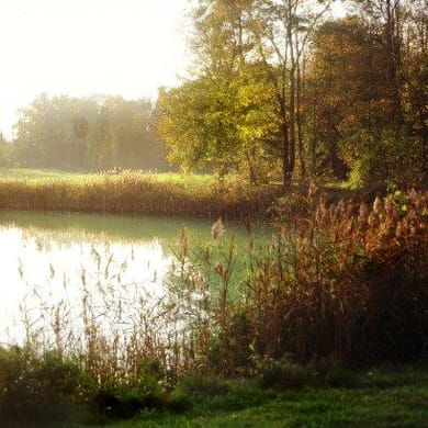 Golf Club du Val de L'Indre