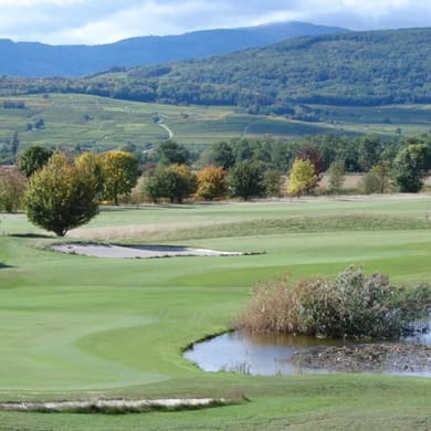Alsace Golf Links