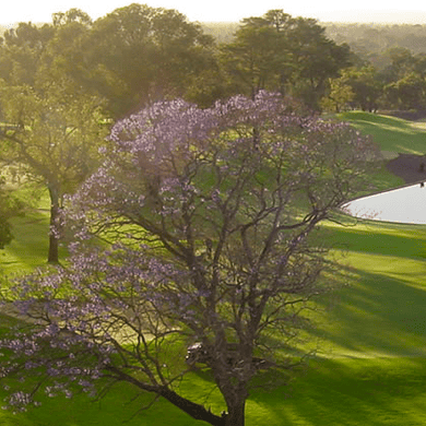 Western Australian Golf Club