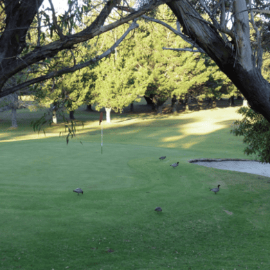 Boomerang Public Golf Course