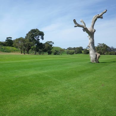Werribee Park Golf Club