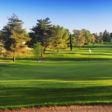 Green Tree Golf Club