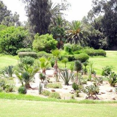 Royal Golf Club Agadir