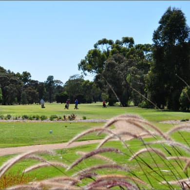 Numurkah Golf
