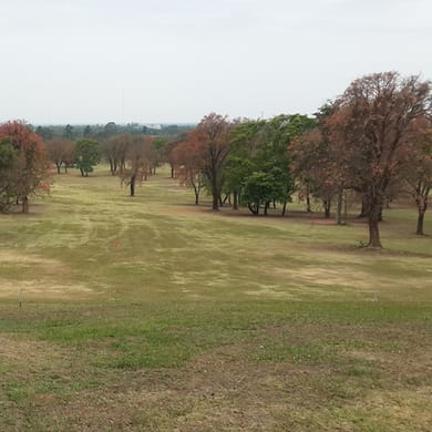 Alto Verde Golf Club