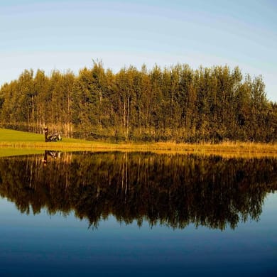 Sommarro Golf (Links)