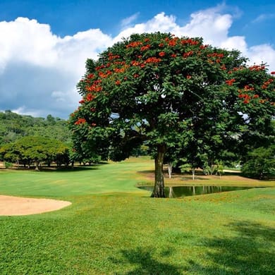 Club Campestre De Cali