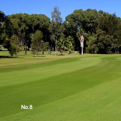 Spalding Park Golf Club