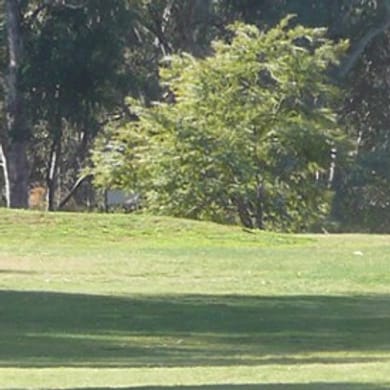 Castlemaine Golf Club