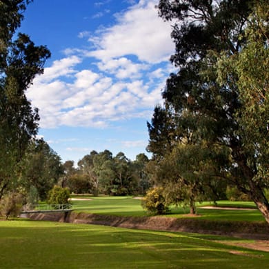 Commercial Golf Resort