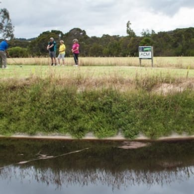 Denmark Country Club