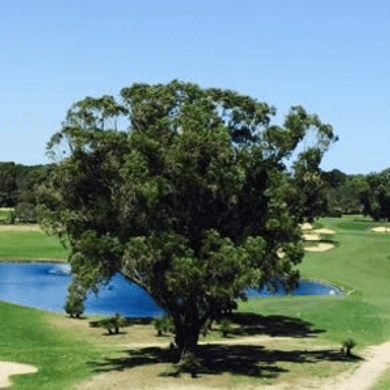 Sun City Country Club