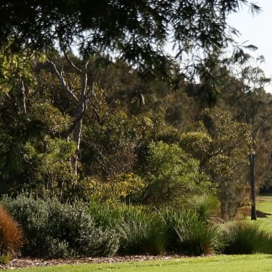 Mona Vale Golf Club