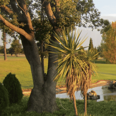 Bronkhorstspruit Golf Club