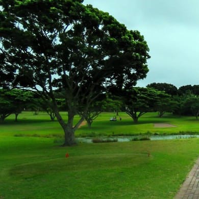 Selborne Park Golf Estate